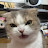 @MachSea's avatar