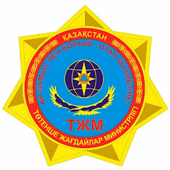 ПОЖАРНЫЕ СПАСАТЕЛИ
