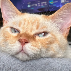 あまとう
