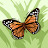 @MurliAhujaAhuja Avatar