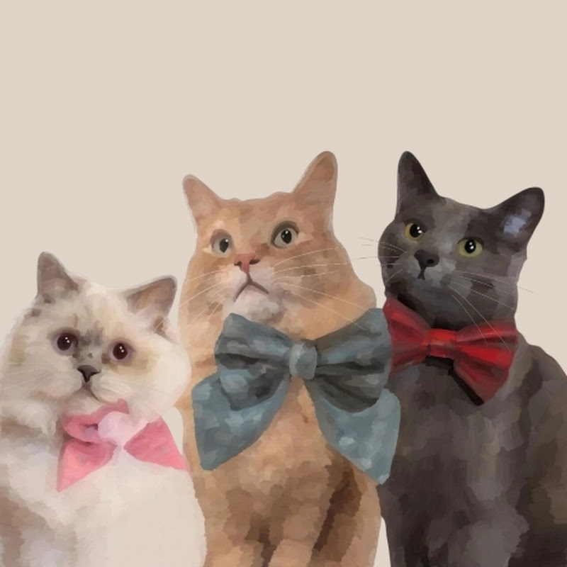 Living With The Aristocats