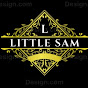  little sam  logo