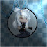 DqXcJWCohhc-channel-avatar-xXlaraStarXx