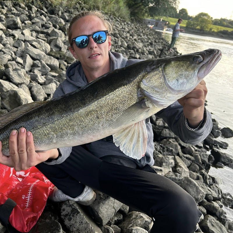 Fischkopp Kanalbild