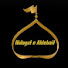 V0XNLEEzOVY-channel-avatar-Hidayat e Ahlebait 