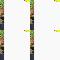 thumbnail img1x1