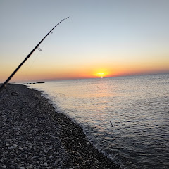 Fish 'n' Lures