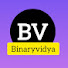 fTUi7szSOEw-channel-avatar-Binary vidya