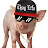 LP_Pig