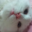 @용자언니