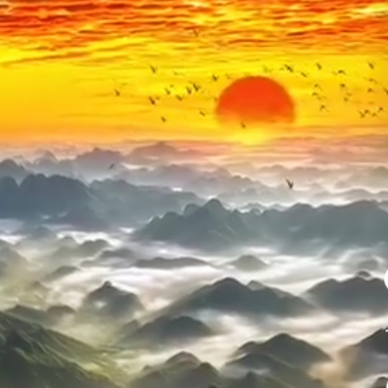 Hire streemking12 — Pets & Animals YouTube creator for sponsorships