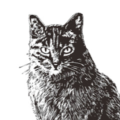 るりチャンネル