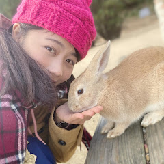 大胃肥Catアイコン画像