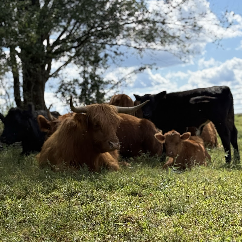 Leith & Sons Family Farm