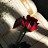 @AhmedHatem-wg1dk