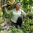 sGc4IyP-XwQ-channel-avatar-Trieu Huong farm