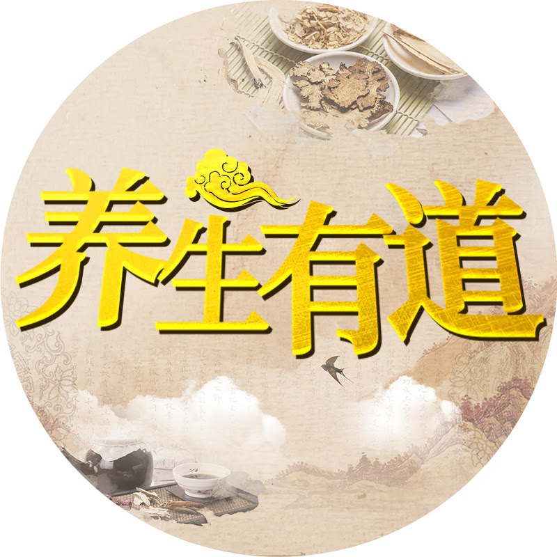 养生有道 Logo