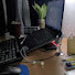 TNIfyj6IsjY-channel-avatar-MIRACLE DAILY