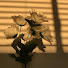 Channel Image