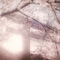 8r6wtb1q3ho-channel-avatar-_Alex_