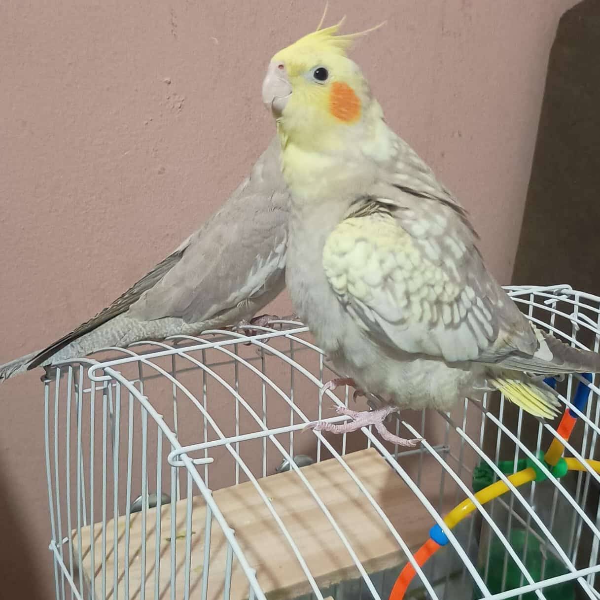 Post from tyrannotitan estúdios (OFICIAL)