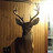 @Castles_huntingadventures