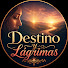 vWBSRPaLEEY-channel-avatar-Destino y Lágrimas