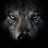 @DragonTigerForce397