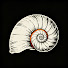 -95kUey26-8-channel-avatar-Fathom Atlas