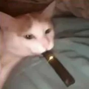 VoI