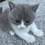 루이