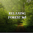 32DjkhLd49g-channel-avatar-Relaxing Forest 365