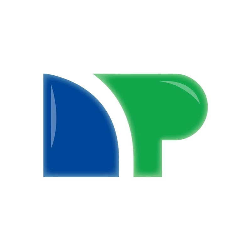 Net Pay Advance