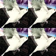 thumbnail img1x1
