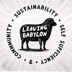 leaving babylon