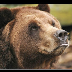 Descoperă România Călătorii, obiective turistice