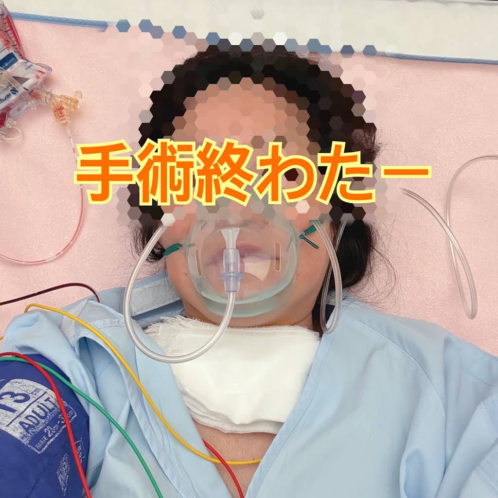 ねこまるけ / Full of cats - YouTube