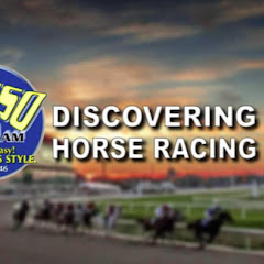 Discovering Horse Racing