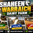 -A2QtyrmCyE-channel-avatar-Shaheen Warraich Dairy Farm🐄