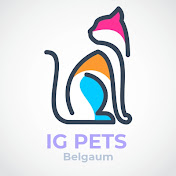 IG Pets belgaum
