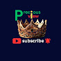 Precious View  logo
