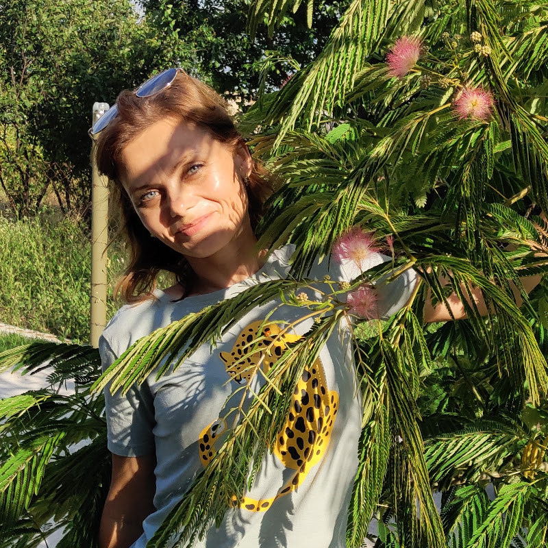 Backyard_dacha