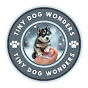 Tiny Dog Wonders logo