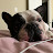 @jylemurian Avatar