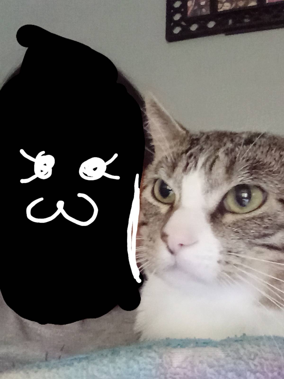 Post from nobody. - YouTube