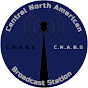 David and C.N.A.B.S logo