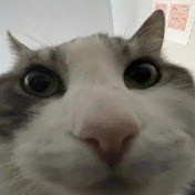 moomooTV