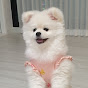 라라의일상