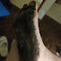 oU1ghfzHvpw-channel-avatar-Free Feet Free Life