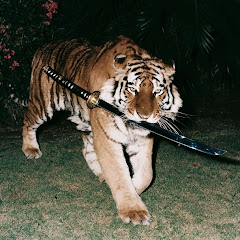 𝙇𝙚𝙭𝙮